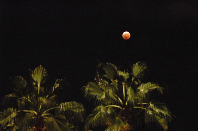 Lunar eclipse California