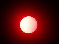 Prominences and Sunspot 2665 - 8 July 2017 - 10h42m