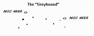 Greyhound