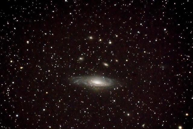 Lick Group Galaxies