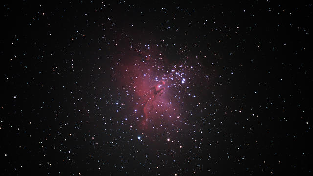 M16 1366w