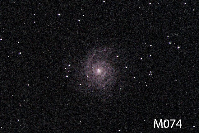 M074
