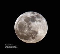 Full Pink Moon 4-25-13