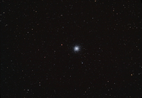 M13